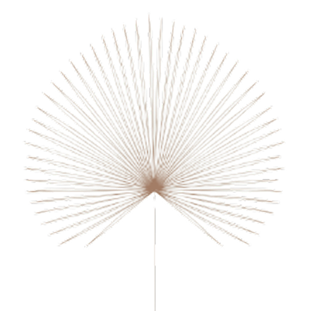 Логотип бюро дизайна и ремонта Лихачев&Цыганков